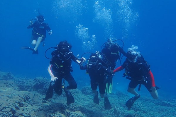 galeri - menjangan tour (1)