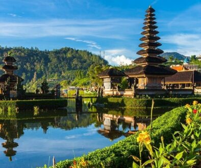 menjangan tour - bali tour-min