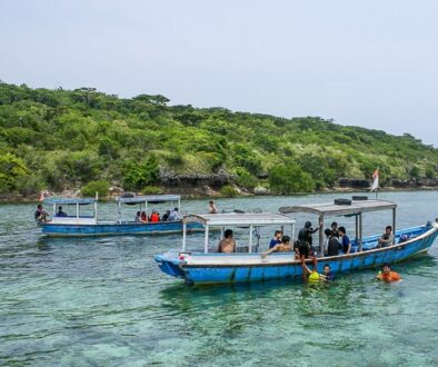 menjangan tour - menjangan transport-min