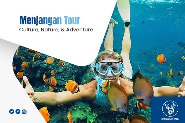 menjangan tour snorkeling & diving 3 - menjangan tour