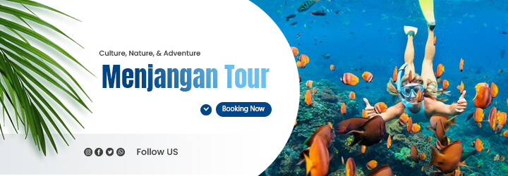 mob- menjangan tour - tour package menjangan bali